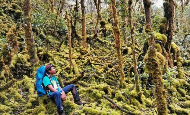 top 10+ referensi gunung favorit para pendaki di daerah sulawesi selatan yang memiliki keindahan luar biasa