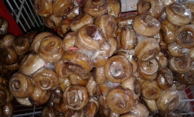 top 10+ referensi kue khas di daerah jawa timur, wisata kuliner yang unik dan lezat