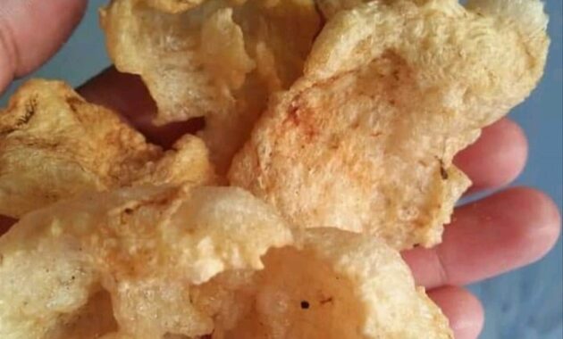top 10+ referensi makanan khas demak jawa tengah yang paling enak dan tinggi protein