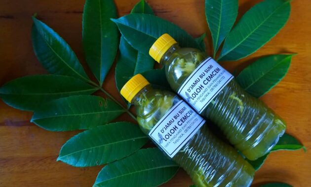 top 10+ referensi minuman khas daerah yang terkenal menyegarkan, nikmati kelezatan disetiap tegukan!