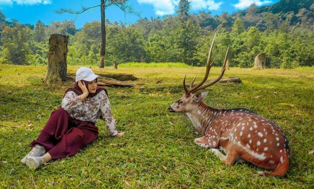 top 10+ referensi tempat romantis di daerah bogor, cocok untuk quality time berdua bareng pasangan