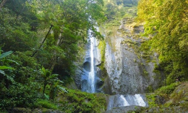 top 10+ referensi wisata air terjun di wilayah jawa timur yang bagus dan paling recommended
