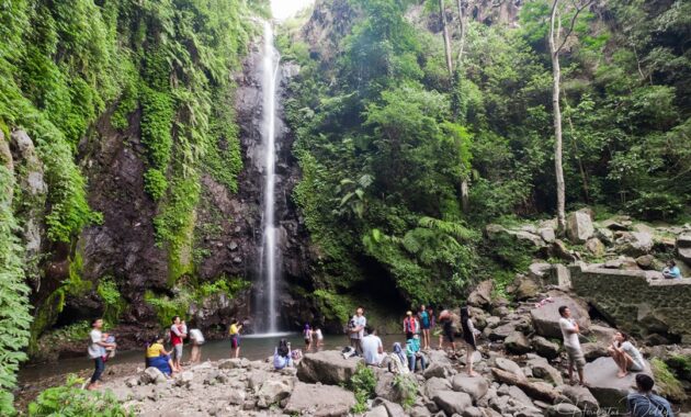 top 10+ referensi wisata air terjun di wilayah jawa timur yang bagus dan paling recommended