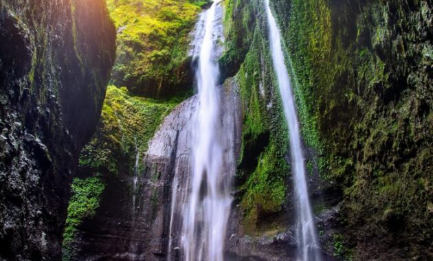top 10+ referensi wisata air terjun di wilayah jawa timur yang bagus dan paling recommended