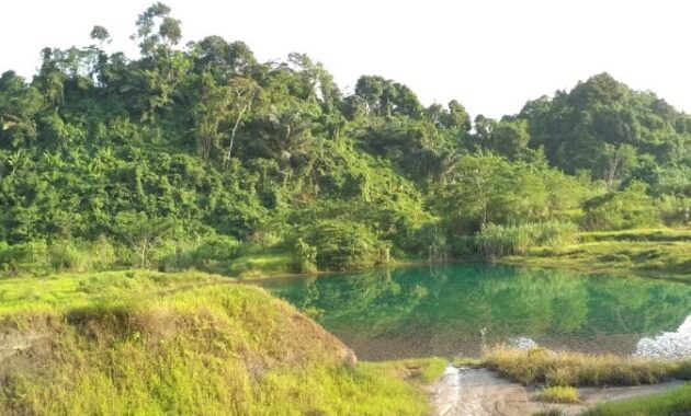 top 10+ referensi wisata danau cantik di daerah kalimantan timur ini bak surga tersembunyi!