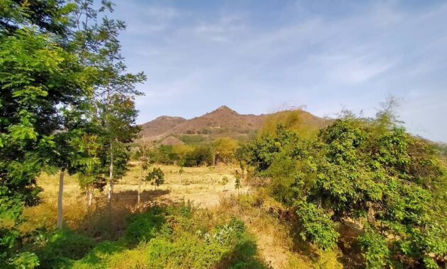 top 10+ referensi wisata gunung di daerah kediri yang sangat indah, cocok buat kamu para petualang