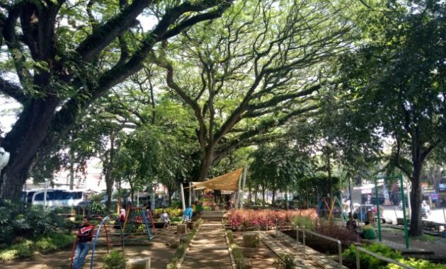 top 10+ rekomendasi destinasi wisata malam hari paling hits di malang yang bikin lupa waktu