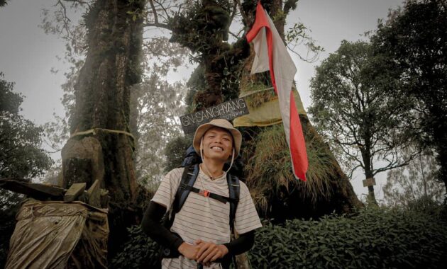 top 10+ rekomendasi gunung berapi di daerah bali yang masih aktif dengan pesona indahnya
