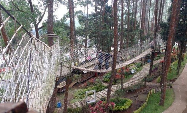 Top 10+ Rekomendasi Lokasi Serta Paket Outbond Tawangmangu dan Sekitarnya Yang Bisa Kamu Pilih