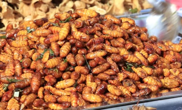 top 10+ rekomendasi makanan khas di negara thailand yang enak gurih dan ekstrim, berani coba?