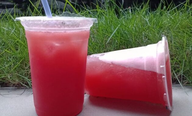 top 10+ rekomendasi minuman khas daerah sulawesi yang banyak diburu karena kelezatannya yang menggugah selera