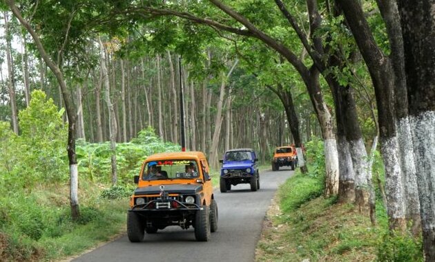 top 10+ rekomendasi provider outbound pasuruan terbaik, termasuk bhakti alam dan telogo sewu