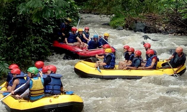 top 10+ rekomendasi tempat outbound sentul seru dan asyik yang bisa kamu jadikan pilihan, simak ini