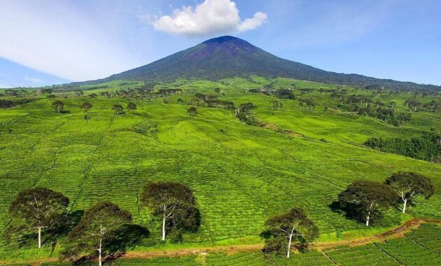 top 10+ rekomendasi tempat romantis di daerah palembang, cocok untuk kalian kunjungi bareng pasangan
