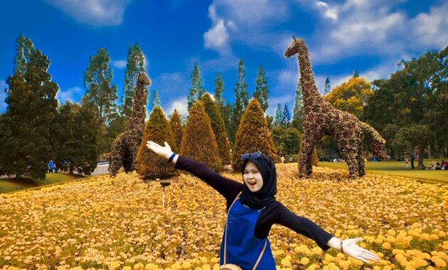 top 10+ rekomendasi tempat romantis di daerah puncak, alternatif lain untuk berakhir pekan sama pasangan