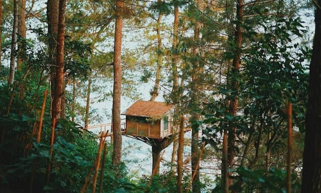 top 10+ tempat instagramable dan hunting foto yang wajib diburu ketika berkunjung di malang