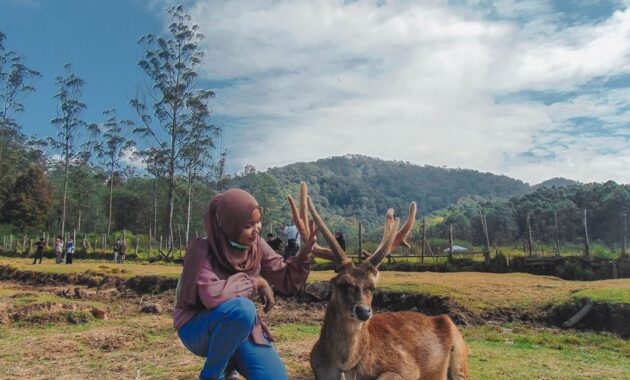 top 10+ tempat instagramable di bandung yang terbaru dan murah untuk menemani akhir pekanmu!