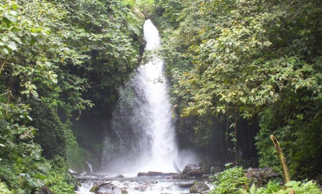 top 10+ tempat wisata air terjun di wilayah banyuwangi jawa timur yang pesonanya luar biasa menakjubkan