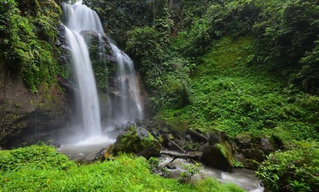 top 10+ tempat wisata air terjun di wilayah banyuwangi jawa timur yang pesonanya luar biasa menakjubkan