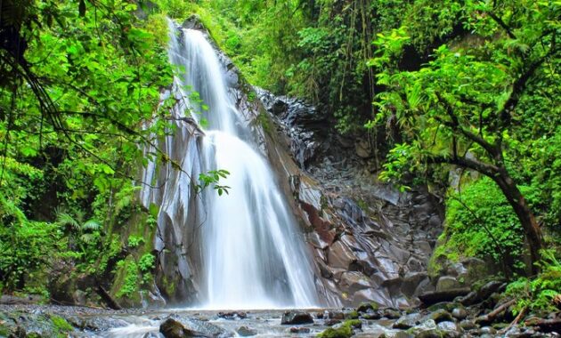 top 10+ tempat wisata air terjun di wilayah banyuwangi jawa timur yang pesonanya luar biasa menakjubkan
