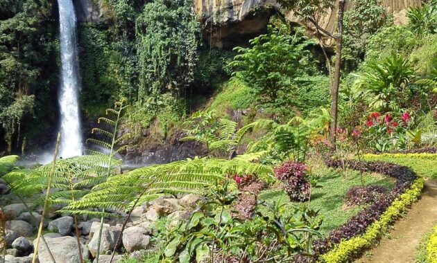 top 10+ wisata air terjun terindah di wilayah malang yang instagramable banget dan mudah dijangkau