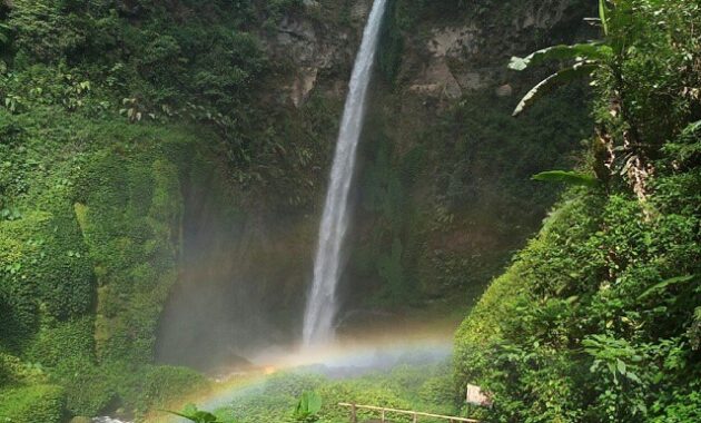 top 10+ wisata air terjun terindah di wilayah malang yang instagramable banget dan mudah dijangkau