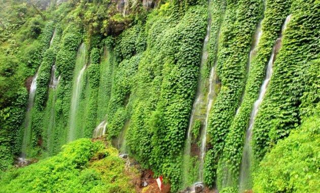 top 10+ wisata air terjun terindah di wilayah malang yang instagramable banget dan mudah dijangkau
