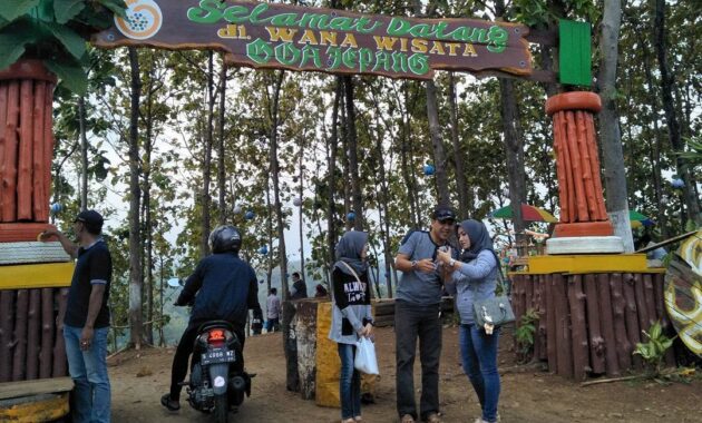 Top 10+ Wisata Goa Jepang di Indonesia