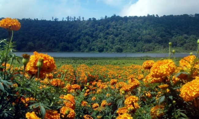 air terjun di badung, objek wisata di badung, pantai di badung, pura badung, tempat liburan anak di badung, tempat rekreasi di badung, tempat wisata di badung, waterboom di badung, wisata alam di badung, wisata di badung, top 103+ tempat wisata di badung terbaru & terhits yang wajib dikunjungi