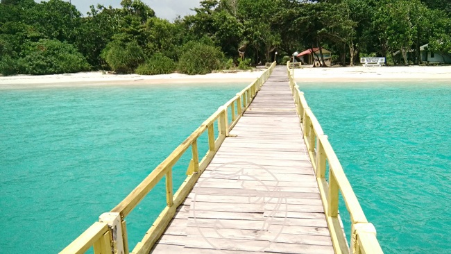harga tiket taman ujung kulon, letak taman ujung kulon, taman nasional ujung kulon, taman ujung kulon, top 11+ aktivitas seru di taman nasional ujung kulon: harga tiket, fasilitas dll