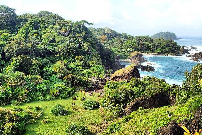Top 11+ Aktivitas Seru di Taman Nasional Ujung Kulon: Harga Tiket, Fasilitas Dll