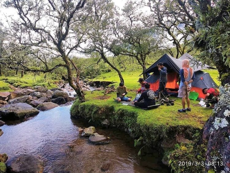 danau tanralili, hutan pinus malino, jungle camp, lembah loe, lembah ramma, lembanna, top 11+ tempat camping terbaik di gowa, malino, lembanna, jungle camp dll
