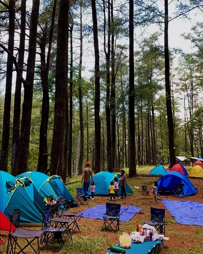 danau tanralili, hutan pinus malino, jungle camp, lembah loe, lembah ramma, lembanna, top 11+ tempat camping terbaik di gowa, malino, lembanna, jungle camp dll