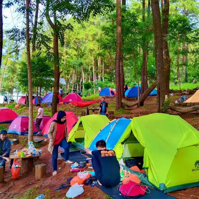 danau tanralili, hutan pinus malino, jungle camp, lembah loe, lembah ramma, lembanna, top 11+ tempat camping terbaik di gowa, malino, lembanna, jungle camp dll