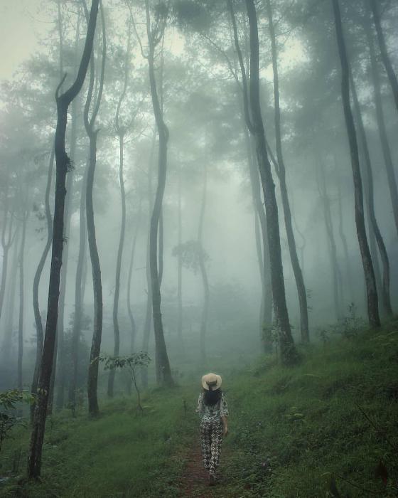 top 14+ – 21 destinasi wisata alam di solo, taman dan air terjun tersembunyi