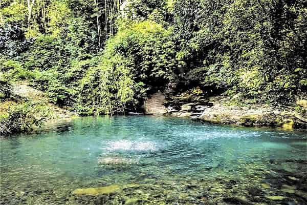aktivitas seru di wisata ujung kulon, alamat wisata ujung kulon, harga tiket wisata ujung kulon, lokasi wisata ujung kulon, pantai di wisata ujung kulon, taman nasional banten, taman nasional ujung kulon, wisata taman nasional ujung kulon, wisata ujung kulon, wisata ujung kulon banten, top 14+ tempat wisata di ujung kulon terbaik, pesona taman nasional banten!