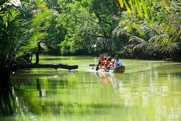 aktivitas seru di wisata ujung kulon, alamat wisata ujung kulon, harga tiket wisata ujung kulon, lokasi wisata ujung kulon, pantai di wisata ujung kulon, taman nasional banten, taman nasional ujung kulon, wisata taman nasional ujung kulon, wisata ujung kulon, wisata ujung kulon banten, top 14+ tempat wisata di ujung kulon terbaik, pesona taman nasional banten!