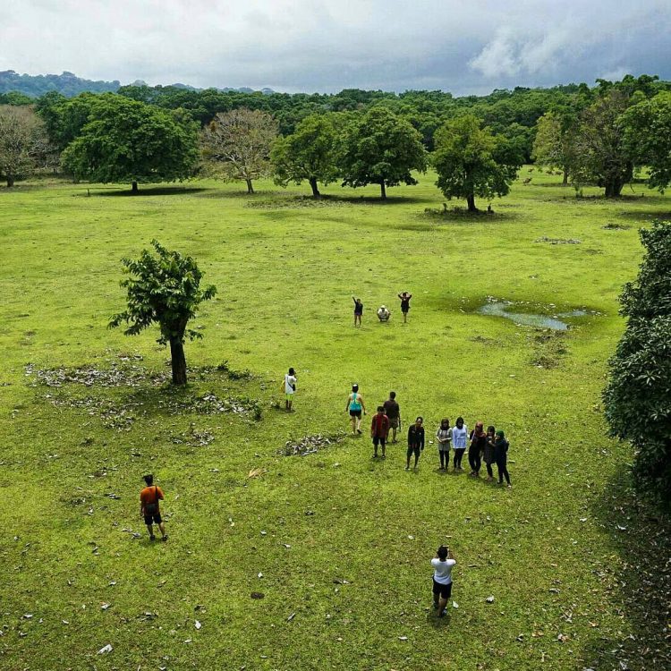 aktivitas seru di wisata ujung kulon, alamat wisata ujung kulon, harga tiket wisata ujung kulon, lokasi wisata ujung kulon, pantai di wisata ujung kulon, taman nasional banten, taman nasional ujung kulon, wisata taman nasional ujung kulon, wisata ujung kulon, wisata ujung kulon banten, top 14+ tempat wisata di ujung kulon terbaik, pesona taman nasional banten!