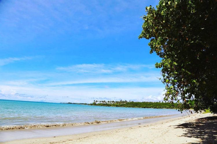 aktivitas seru di wisata ujung kulon, alamat wisata ujung kulon, harga tiket wisata ujung kulon, lokasi wisata ujung kulon, pantai di wisata ujung kulon, taman nasional banten, taman nasional ujung kulon, wisata taman nasional ujung kulon, wisata ujung kulon, wisata ujung kulon banten, top 14+ tempat wisata di ujung kulon terbaik, pesona taman nasional banten!