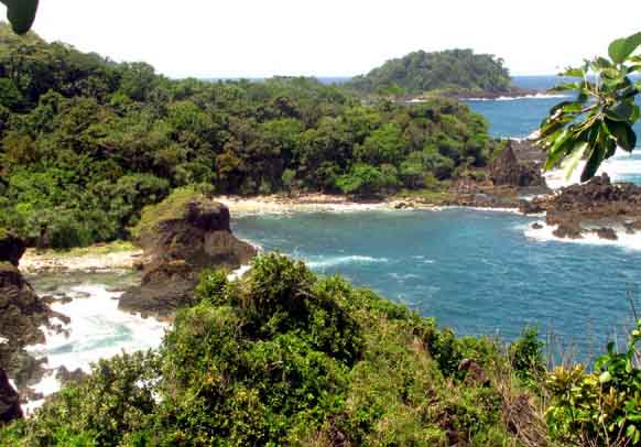 aktivitas seru di wisata ujung kulon, alamat wisata ujung kulon, harga tiket wisata ujung kulon, lokasi wisata ujung kulon, pantai di wisata ujung kulon, taman nasional banten, taman nasional ujung kulon, wisata taman nasional ujung kulon, wisata ujung kulon, wisata ujung kulon banten, top 14+ tempat wisata di ujung kulon terbaik, pesona taman nasional banten!