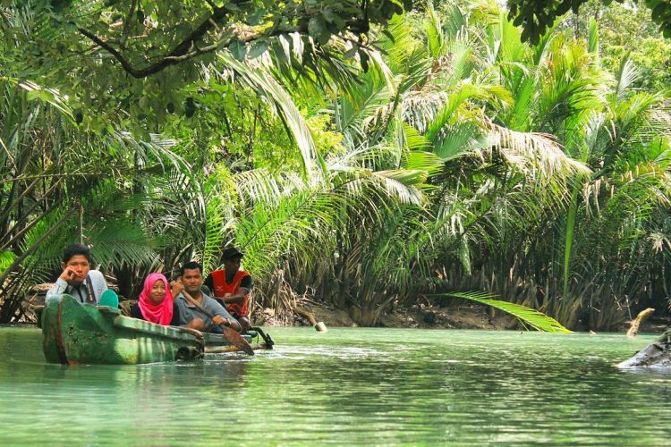 aktivitas seru di wisata ujung kulon, alamat wisata ujung kulon, harga tiket wisata ujung kulon, lokasi wisata ujung kulon, pantai di wisata ujung kulon, taman nasional banten, taman nasional ujung kulon, wisata taman nasional ujung kulon, wisata ujung kulon, wisata ujung kulon banten, top 14+ tempat wisata di ujung kulon terbaik, pesona taman nasional banten!