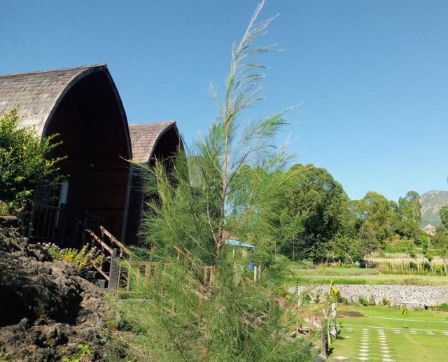 homestay di kintamani, homestay murah di kintamani, hotel di kintamani, hotel murah di kintamani, penginapan di kintamani, penginapan murah di kintamani, villa di kintamani, villa murah di kintamani, top 14+ villa murah di kintamani, mulai rp100k dengan private pool view danau & gunung