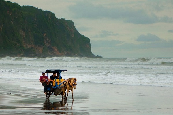 pantai cemara sewu, pantai di bantul, pantai di jogja, pantai hits di bantul, tempat wisata alam di bantul, wisata alam di bantul, wisata pantai di bantul, top 15+ pantai di bantul terbaik yang hits & instagramable buat liburan