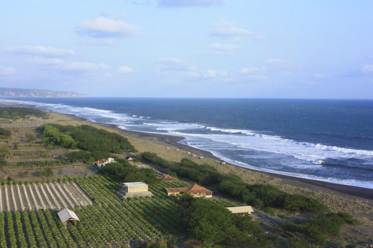 pantai cemara sewu, pantai di bantul, pantai di jogja, pantai hits di bantul, tempat wisata alam di bantul, wisata alam di bantul, wisata pantai di bantul, top 15+ pantai di bantul terbaik yang hits & instagramable buat liburan