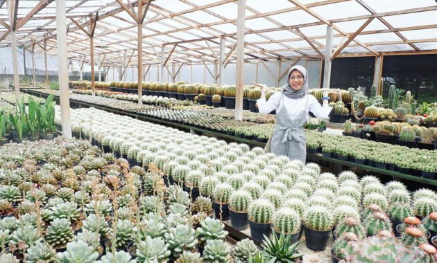 top 15+ tempat wisata di cimahi yang murah