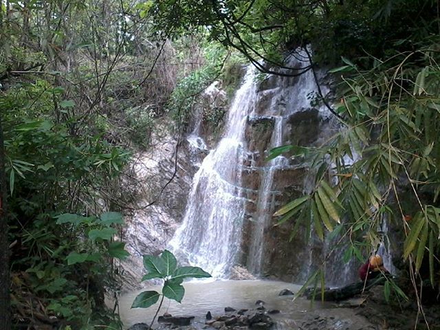 air terjun di kebumen, air terjun terbaik di kebumen, curug di kebumen, objek wisata di kebumen, tempat wisata alam di kebumen, wisata air terjun di kebumen, wisata alam di kebumen, top 16+ air terjun di kebumen terbaik & paling hits, lokasi curug, tiket dll