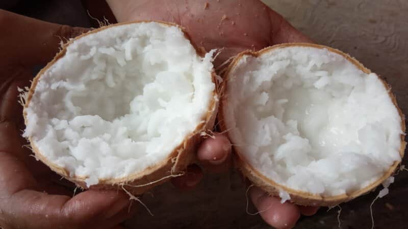buah tangan khas pati, cemilan khas pati, cinderamata khas pati, jajanan khas pati, makanan khas pati, minuman khas pati, oleh-oleh khas pati, souvenir khas pati, top 17+ oleh-oleh khas pati paling legendaris, makanan, souvenir, cemilan dll