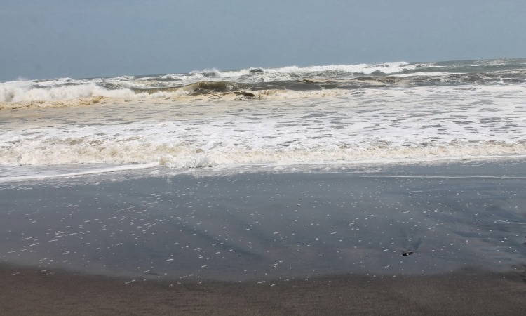 pantai agrabinta cianjur, pantai apra cianjur, pantai batu kukumbung, pantai cianjur, pantai cieurih, pantai cigebang cianjur, pantai cipanglay cianjur, pantai cisela, pantai ciujung, pantai ciwidig cianjur, pantai di cianjur, pantai jayanti cianjur, pantai karang potong cianjur, pantai lugina, pantai maleber, pantai rancabuaya, pantai sarongge, pantai sereg cianjur, pantai sindangbarang, rekomendasi pantai di cianjur, top 18+ pantai di cianjur terbaru & terhits yang wajib dikunjungi saat liburan