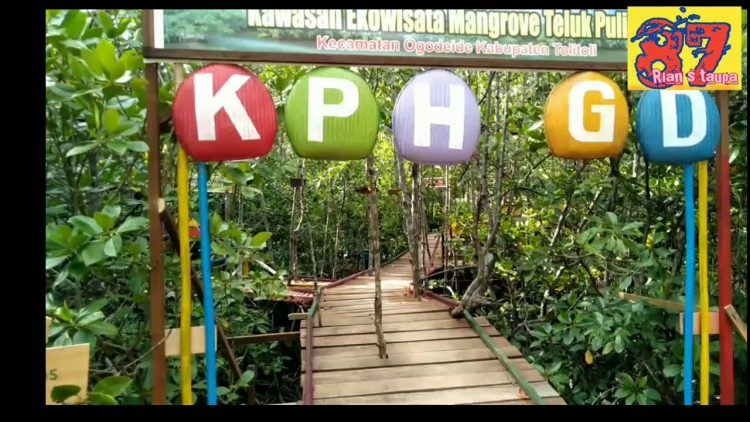 air terjun di tolitoli, pantai di tolitoli, tempat liburan di tolitoli, tempat rekreasi tolitoli, tempat wisata di tolitoli, tempat wisata tolitoli, tolitoli, wisata alam di tolitoli, wisata tolitoli, top 19+ tempat wisata di tolitoli terbaik & terhits yang wajib dikunjungi