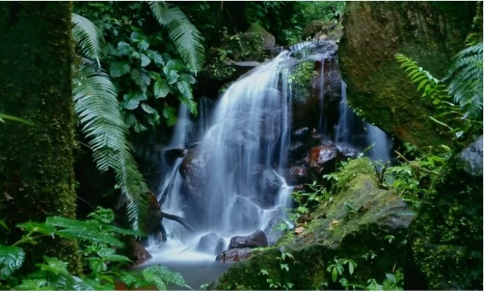 air terjun di majalengka, curug di majalengka, curug terbaik di majalengka, curug terindah di majalengka, objek wisata alam di majalengka, wisata air terjun di majalengka, wisata alam di majalengka, wisata curug di majalengka, top 20+ curug di majalengka terbaik & terhits dikunjungi, air terjun indah